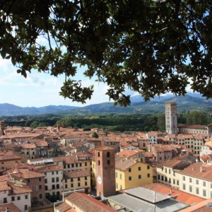 Lucca