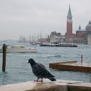 S.Marco - Venezia