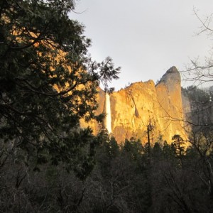 Golden Afternoon Lights, Yosemite NP, CA