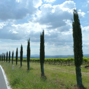 Toscana