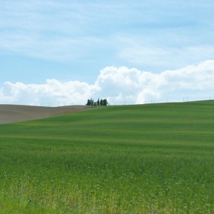 Val d'Orcia