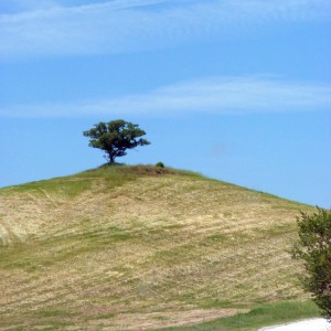 Val d'Orcia