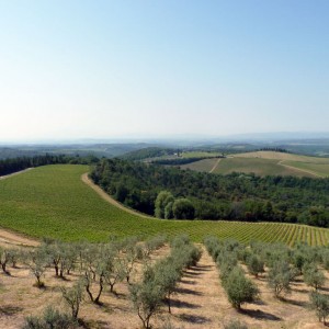 Chianti