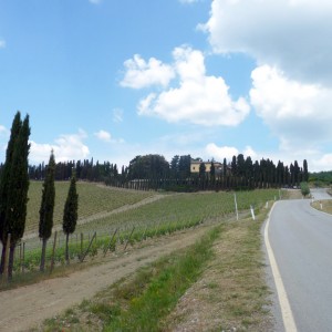 Chianti