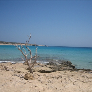 Παραλία Φανός