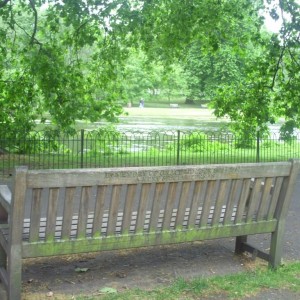 St. James Park, τι ρομαντικό!