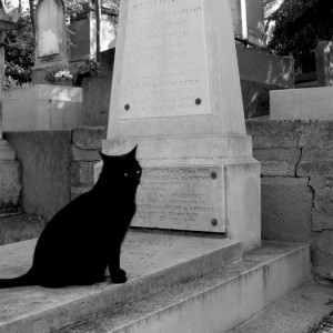 θυμωμένη γάτα στο κοιμητήριο Περ Λασαίζ