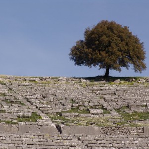 Δελφοί