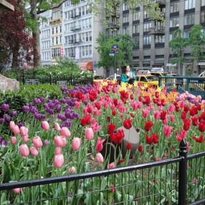 Manhattan - Madison Square Park
