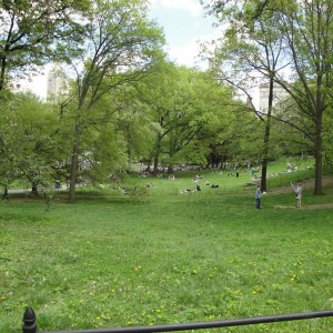 Central Park
