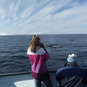 Isfjorden απέναντι από Barentsburg