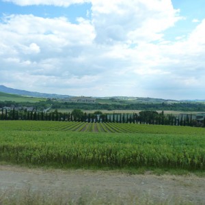 Castello Banfi