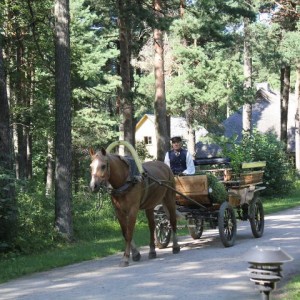 Tallinn