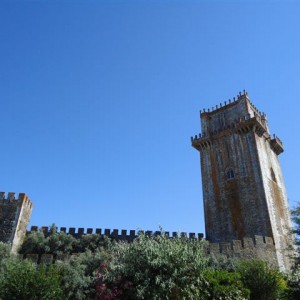 Beja