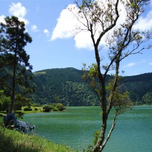 Σάο Μιγκέλ (Sete cidades)