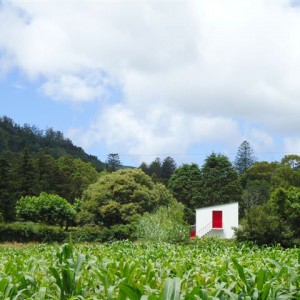 Σάο Μιγκέλ (Sete cidades)