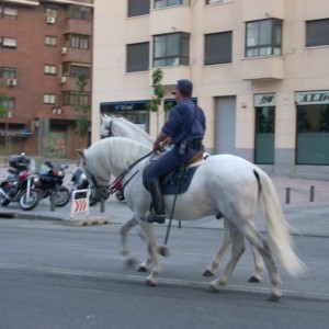 Έφιππος