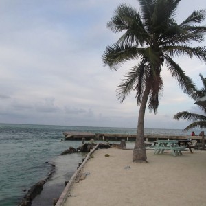 Caye Caulker