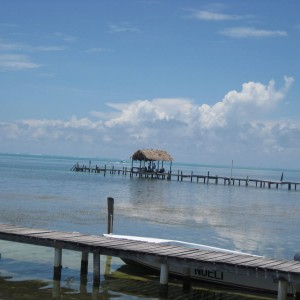 Caye Caulker