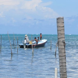 Caye Caulker