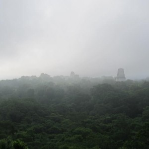 Tikal