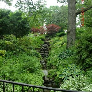 Toronto High Park