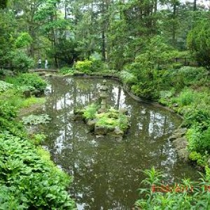 Toronto High Park