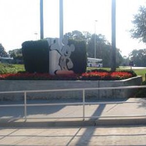 Orlando-Disney World