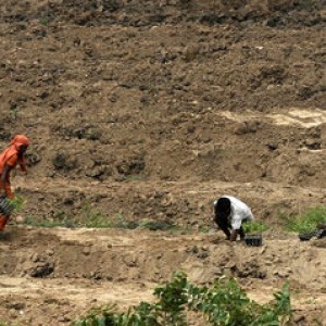 India