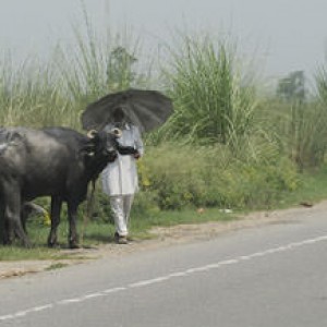 India