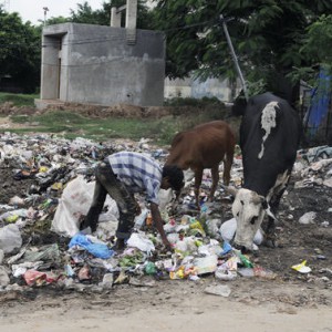 India