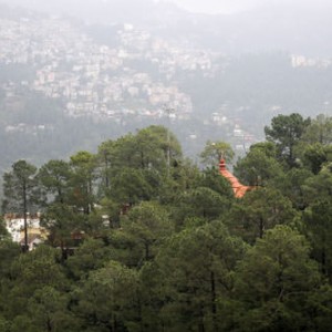 Shimla-India
