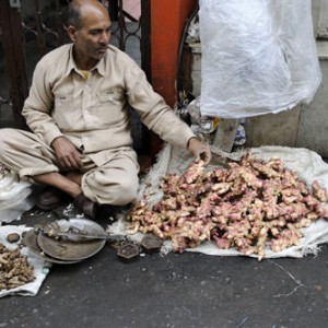 Shimla-India