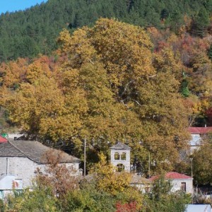 Γαναδιό