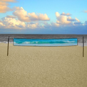 The beach volleyball net