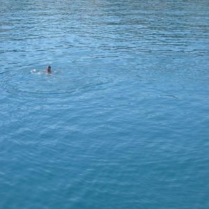 P8230400
