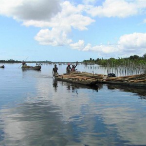 summer_in_madagascar_