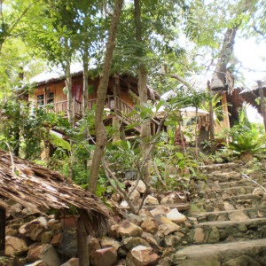 bungalow @ Phi Phi Islands