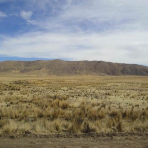 Landscape in Puno region, 22.8.2011