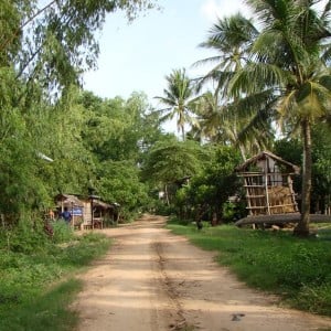 cambodia 8/2011 Kratje-island in Mekong