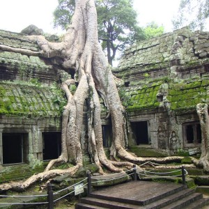 Cambodia Siem Reap-Ta Prohm