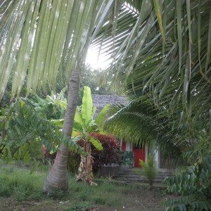 Moheli- bungalows Laka lodge