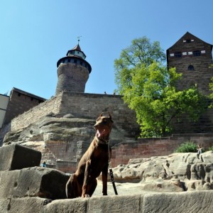 Nurmberg castle