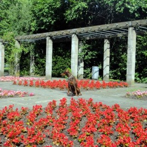 Treptower park