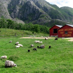 Kilboghavn- Jetkvik