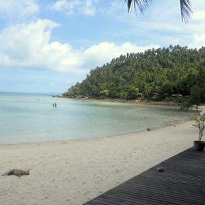 Koh Phangan