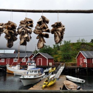 Νasfjord, Lofoten