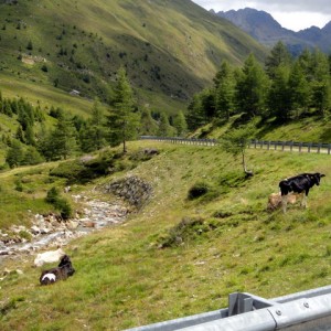 Austria Alps