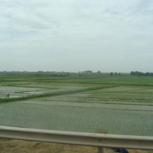 VIETNAM_3