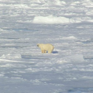 Αρχιπέλαγος Svalbard - Αρκτική